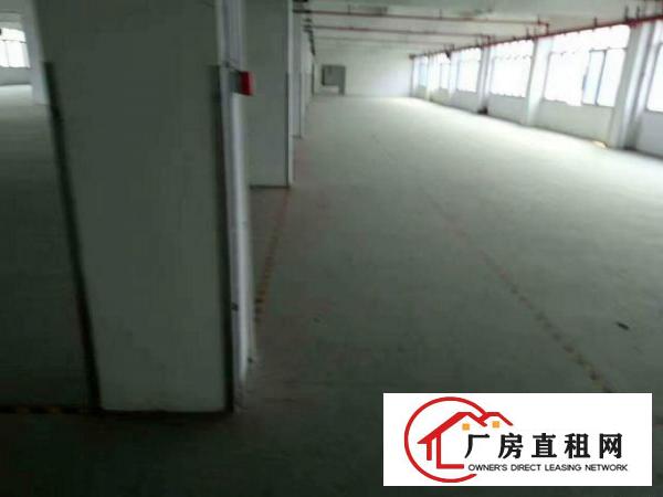 
坪地12500平米花园式独院厂房出租,空地大