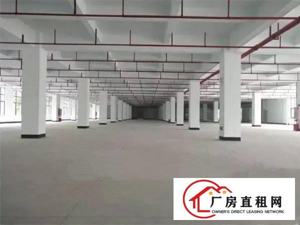 
一楼标准厂房1500平，交通方便，位于龙岗五联