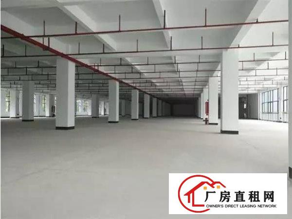 
一楼标准厂房1500平，交通方便，位于龙岗五联