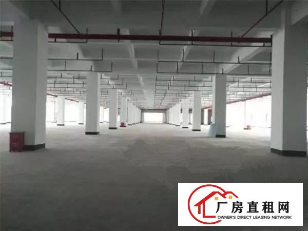 
一楼标准厂房1500平，交通方便，位于龙岗五联