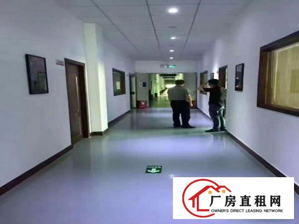 
龙岗坪地高新工业区低碳城旁德国小镇上市公司做邻居形象