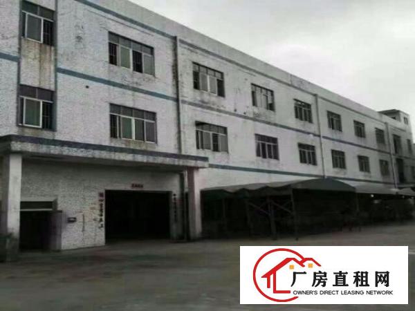 
龙岗坪地北通道或龙岗大道钢构厂房1300平出租