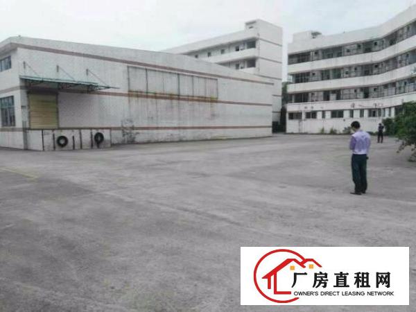 
龙岗坪地北通道或龙岗大道钢构厂房1300平出租