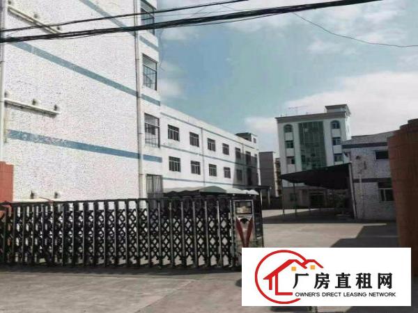 
龙岗坪地北通道或龙岗大道钢构厂房1300平出租