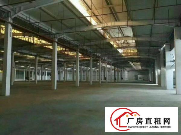 
龙岗坪地独院钢构厂房2300平招租