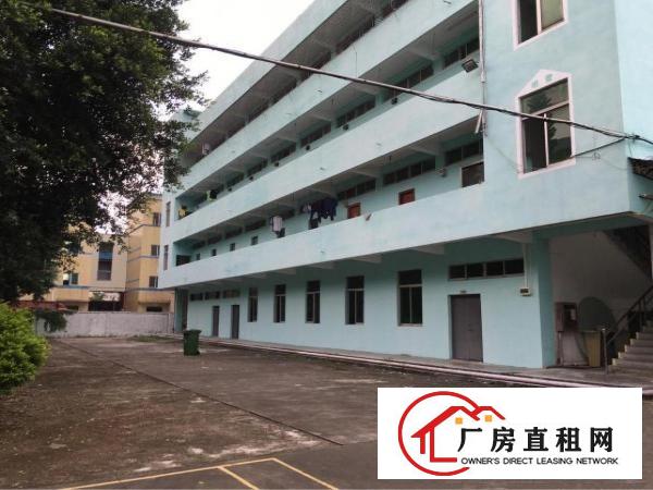 
龙岗坪地5000平米独院厂房出租