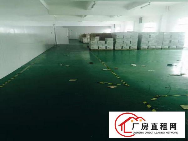 
龙岗坪地5000平米独院厂房出租