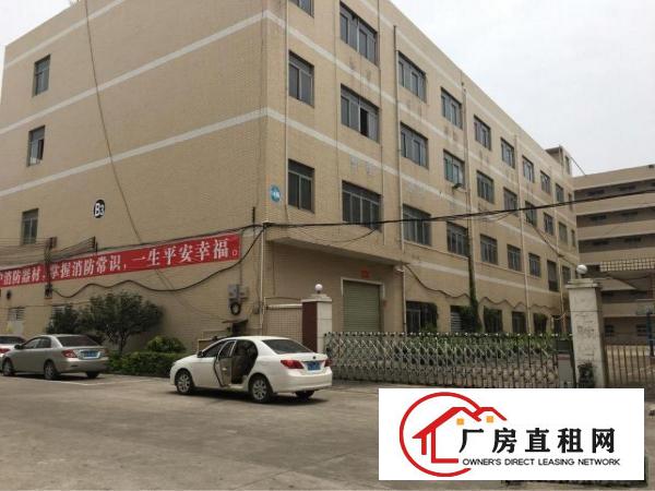 
龙岗坪地1000平米带精装修厂房出租