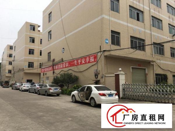 
龙岗坪地1000平米带精装修厂房出租