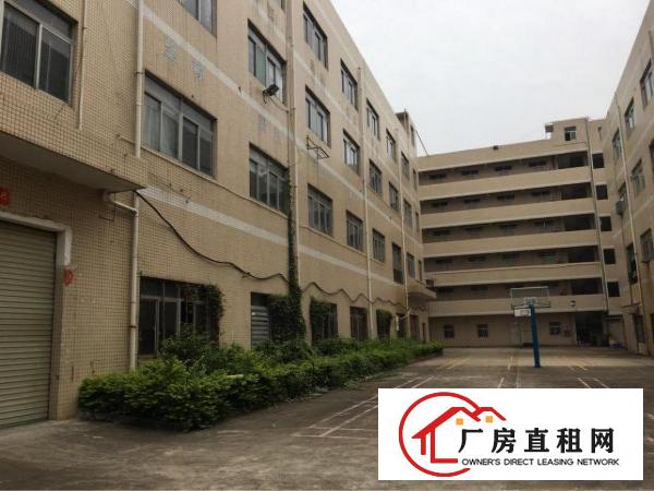 
龙岗坪地1000平米带精装修厂房出租