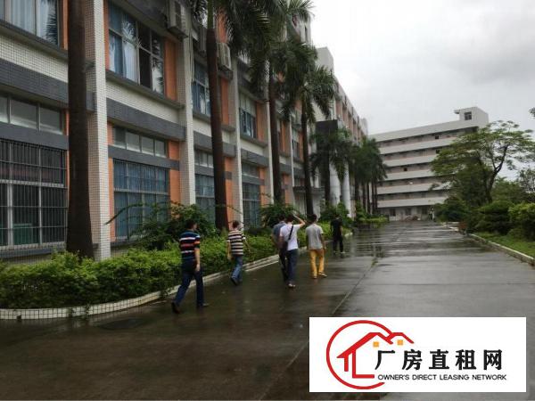 
龙岗坪地高桥低碳产业园1万平米独院厂房出租