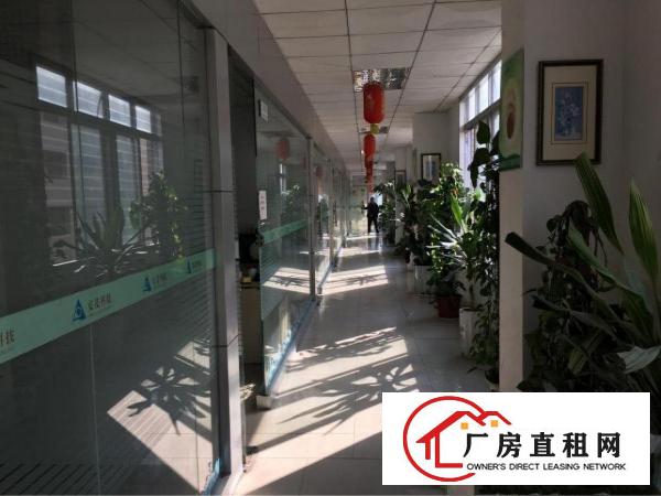 
龙岗坪地2000平米带精装修厂房也可分租