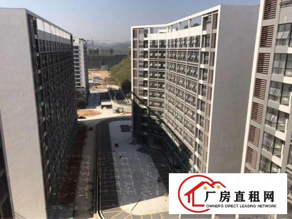 
出租坪地坪洲百货旁边2000平独门独院厂房可分租