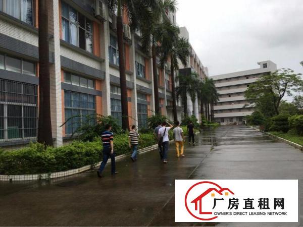 
龙岗坪地低碳城德国小镇旁厂房出租可做研发医疗设备