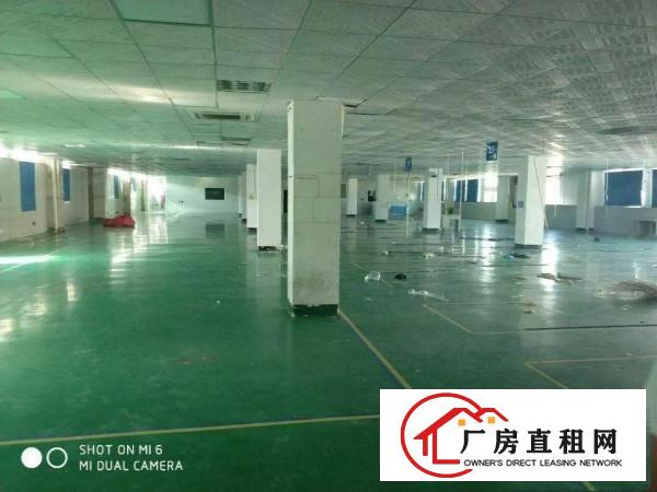 
出租龙岗厂房龙岗大道边独门独院5580平方可适用任何行业