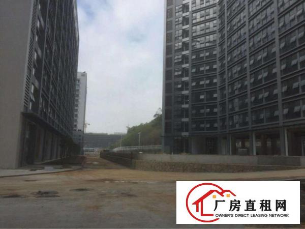 
坪地坪洲百货旁边厂房独门独院带电梯可分租