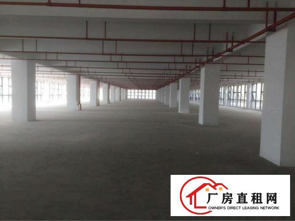 
坪地坪洲百货旁边厂房独门独院带电梯可分租
