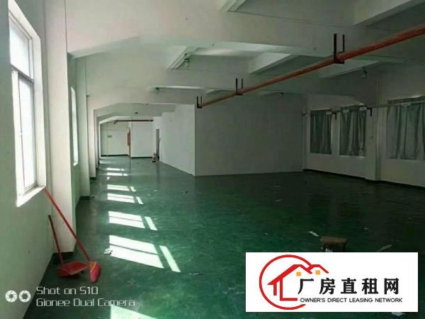 
坪地中心地段新出小独院2800平米