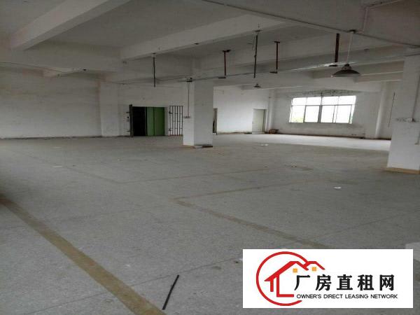
龙岗坪地新出标准一楼厂房1200平米