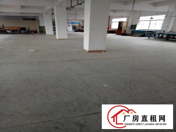 
龙岗坪地新出标准一楼厂房1200平米