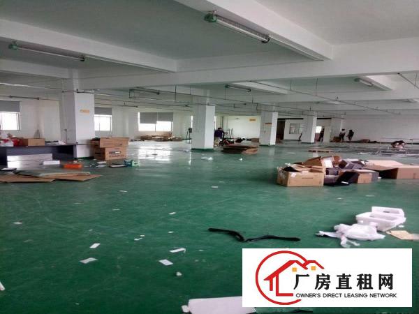 
坪地新出标准厂房780平米租13元