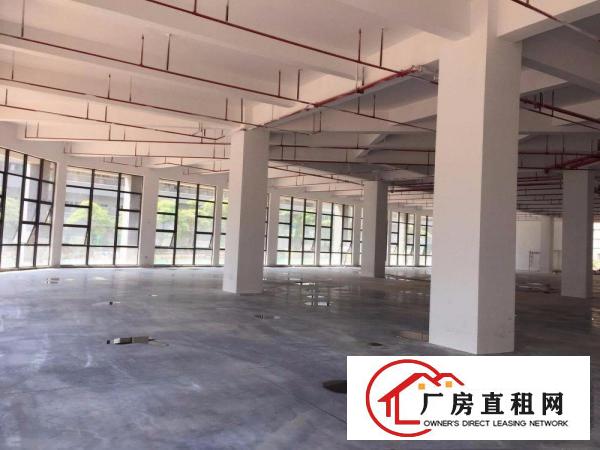 
龙岗坪地高新厂区适合做电子LED生物研究医疗设备