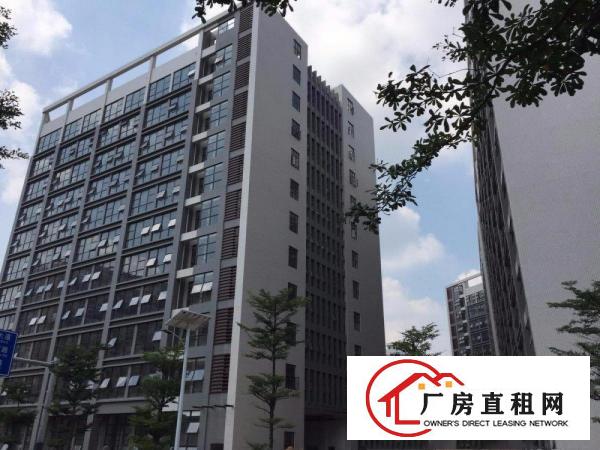 
龙岗坪地高新厂区适合做电子LED生物研究医疗设备