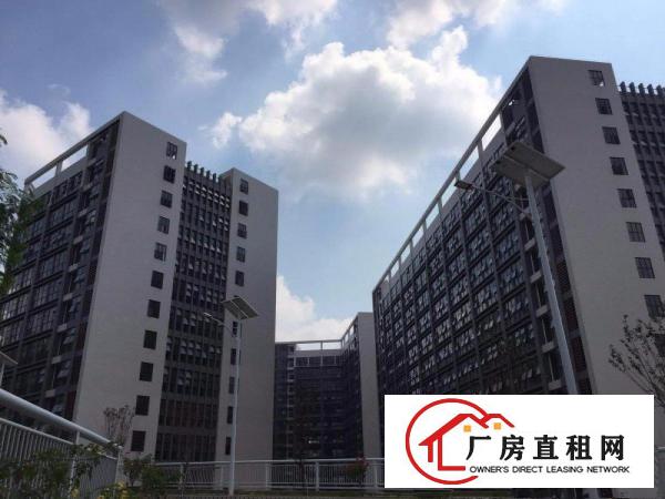
龙岗坪地高新厂区适合做电子LED生物研究医疗设备