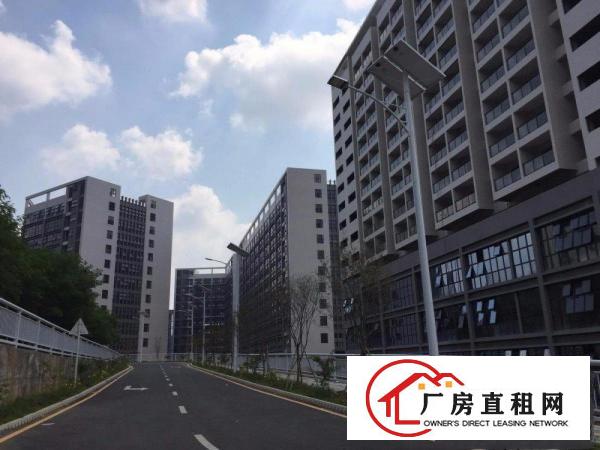 
龙岗坪地高新厂区适合做电子LED生物研究医疗设备