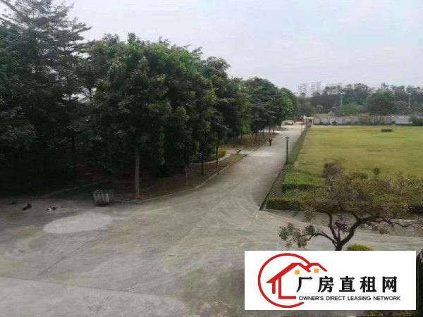
龙岗中心段独院12000厂房 办公楼可分租外观形象好
