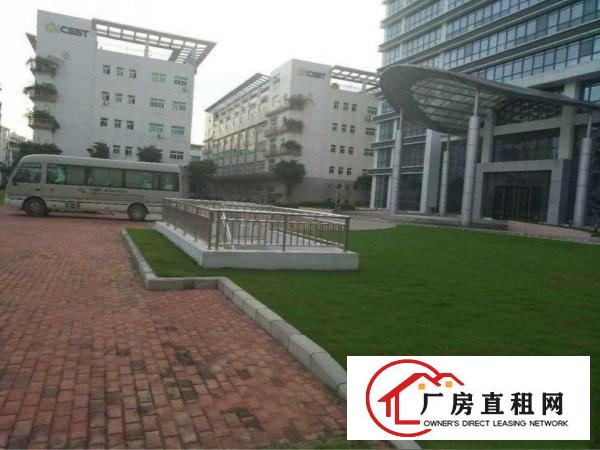 
出租坪洲百货旁800平钢构厂房交通方便带电梯