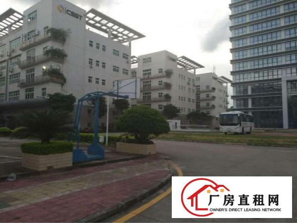 
出租坪洲百货旁800平钢构厂房交通方便带电梯