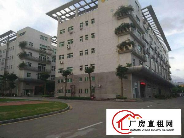 
出租坪洲百货旁800平钢构厂房交通方便带电梯