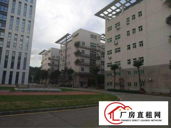 
出租坪洲百货旁800平钢构厂房交通方便带电梯