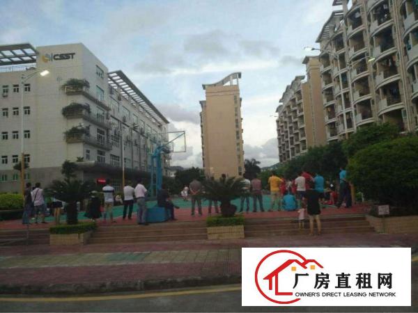 
出租坪洲百货旁800平钢构厂房交通方便带电梯