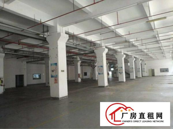 
出租坪洲百货旁800平钢构厂房交通方便带电梯