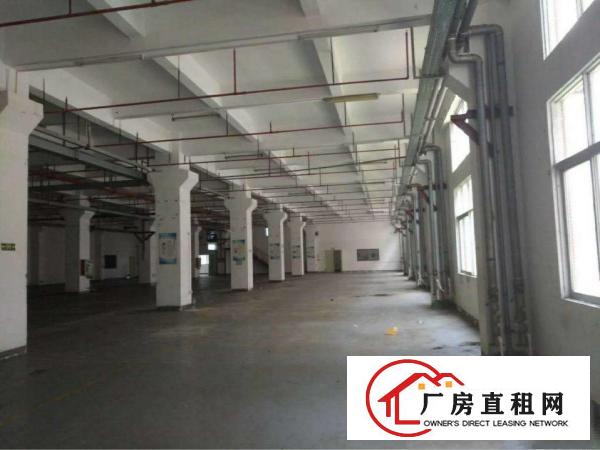 
出租坪洲百货旁800平钢构厂房交通方便带电梯