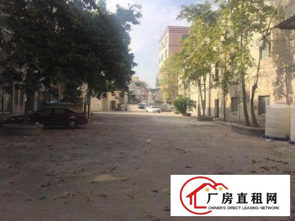 
开新盘，深圳龙岗坪地中心社区嘉喜路可分组