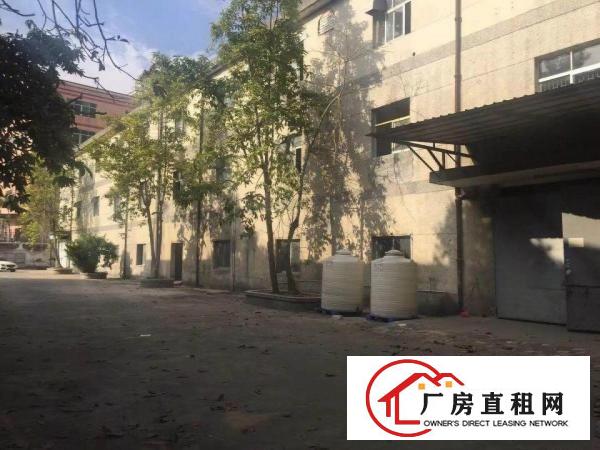 
开新盘，深圳龙岗坪地中心社区嘉喜路可分组