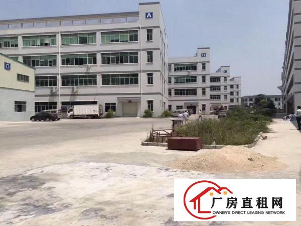 
坪地楼上12元厂房出租，合同5年一签