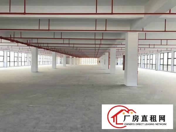 
出租龙岗厂房坪西附近厂房形象好货车方便