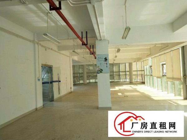 
坪地坪西花园式是办公楼厂房4750平米