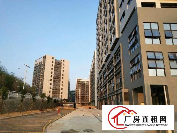
坪地盐龙大道旁高新工业区厂房350000平米