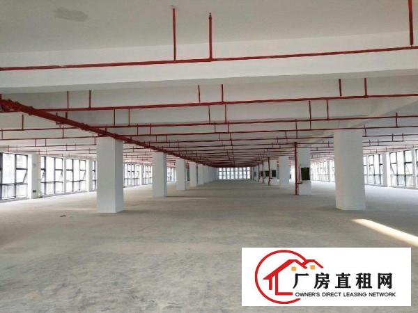 
坪地盐龙大道旁高新工业区厂房350000平米