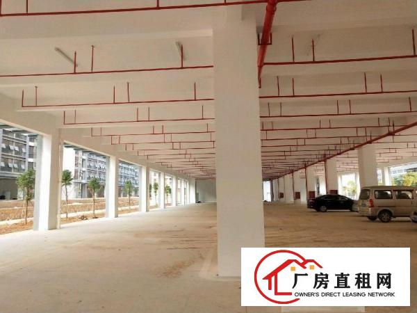 
坪地盐龙大道旁高新工业区厂房350000平米