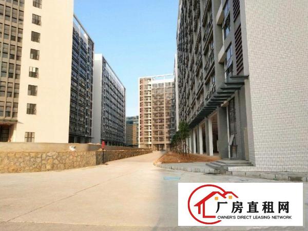 
坪地盐龙大道旁高新工业区厂房350000平米