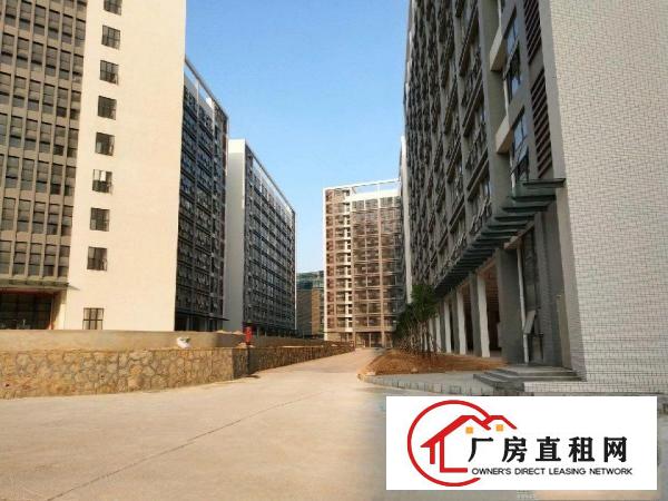 
坪地盐龙大道旁高新工业区厂房350000平米