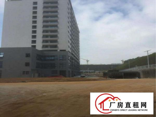 
出租坪地国际低碳城旁2000平厂房带电梯可分租