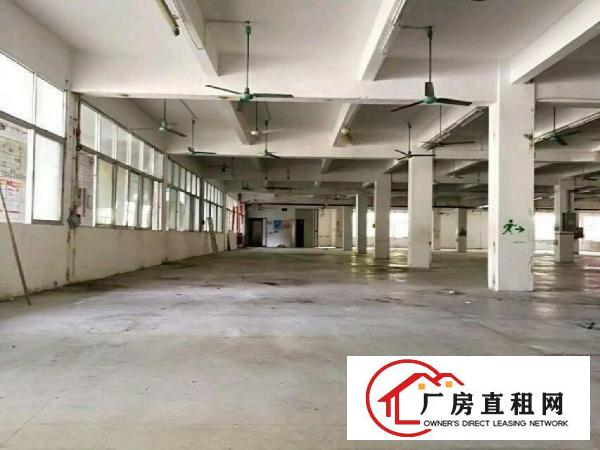 
出租龙岗区坪地坪西厂房有正规办公室活动空间大