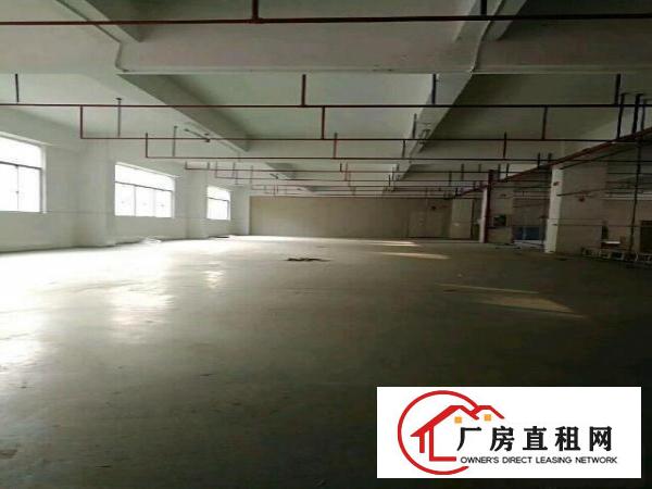 
出租龙岗区坪地坪西厂房有正规办公室活动空间大